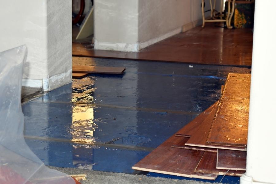 house interiors with water damage on hardwood flooring cape coral fl